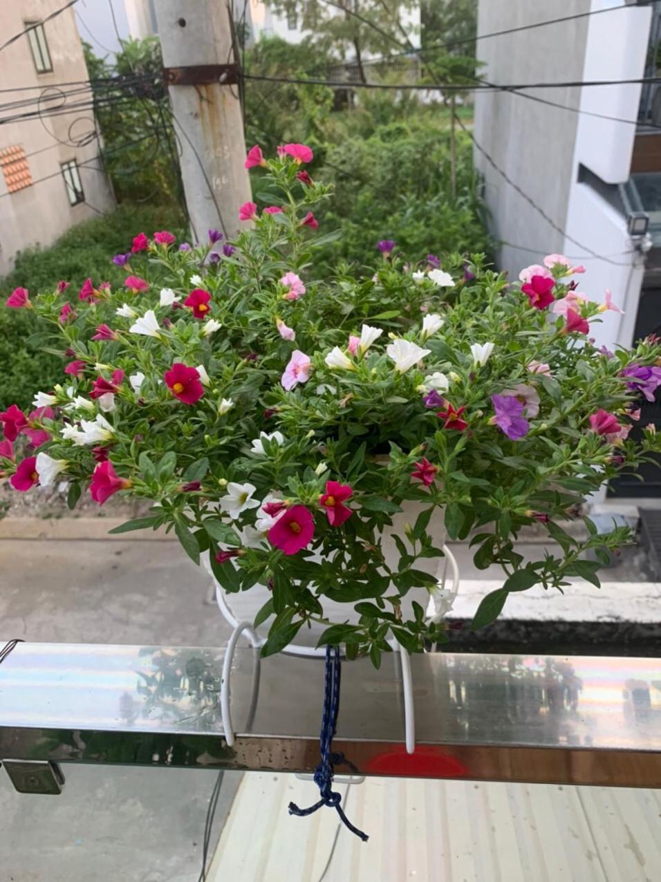 Thu Duc * TP. Hồ Chí Minh