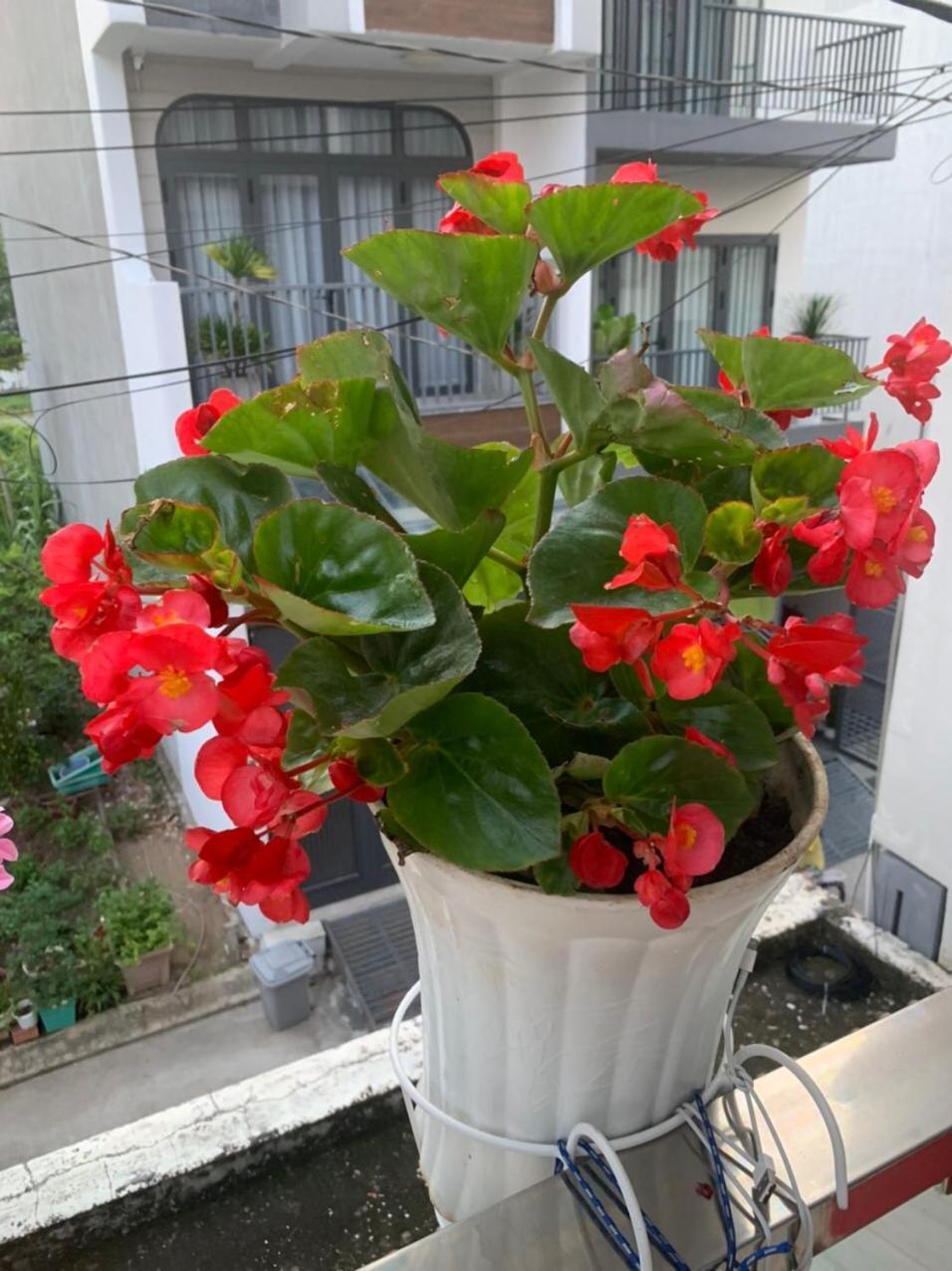 Nhà khách Thu Duc